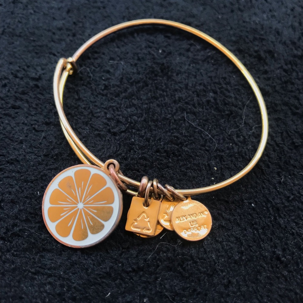 Alex and Ani bracelet